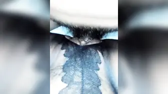 极骚活很不错小姐姐激情啪啪，舔屌吸蛋连体开档丝袜，特写屁股套弄JB扭动小腰，抓着屌自己动展示绝活