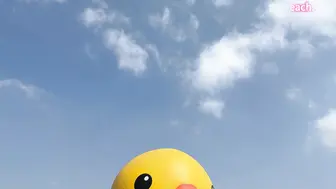 你想來我家看小鴨嗎_4K