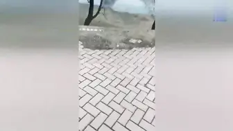 【顶臀】户外大神陶鸡巴